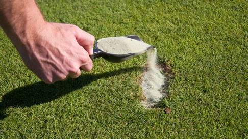 Divot Repair: Why and How