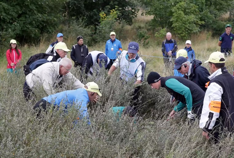 Golfers and fans searching for a lost golf during a Walker Cup match